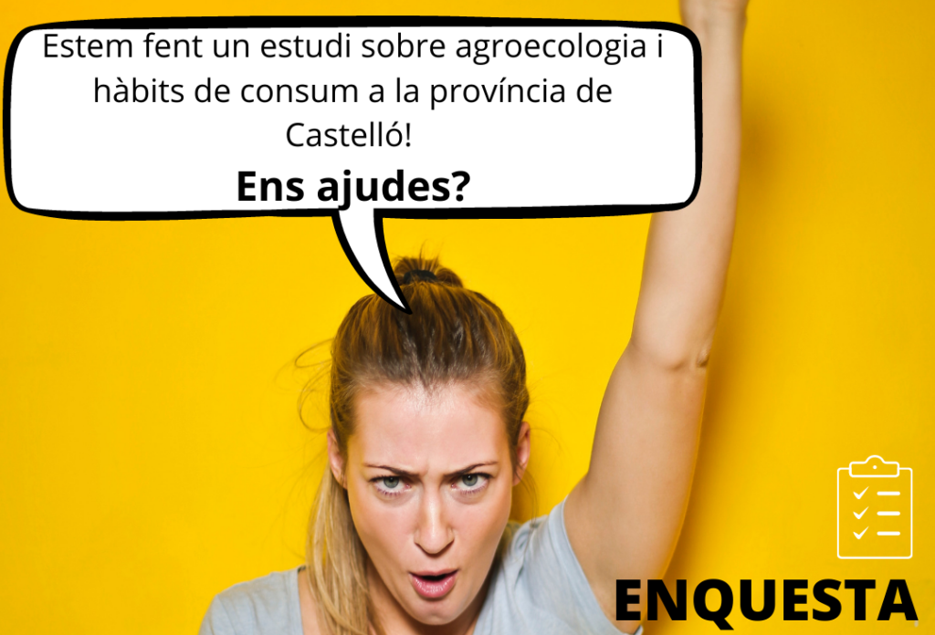 Quins hàbits de consum tenim en Castelló?